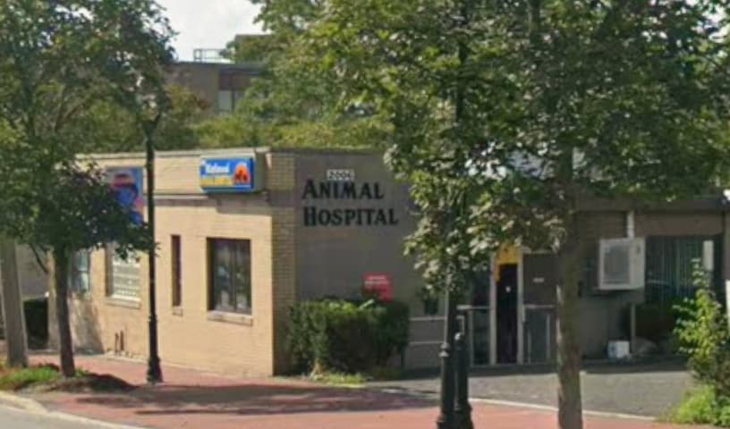 Maplewood Animal Hospital