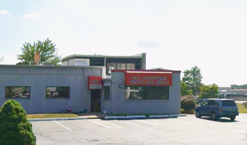 All Creatures Great & Small Animal Hospital