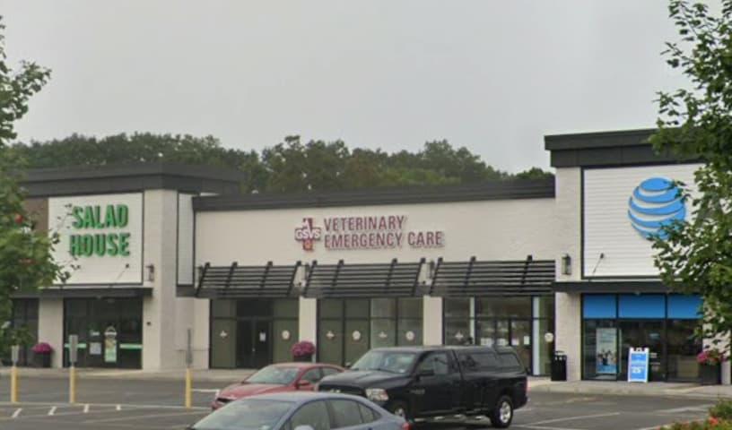 GSVS Veterinary Emergency Care Toms River