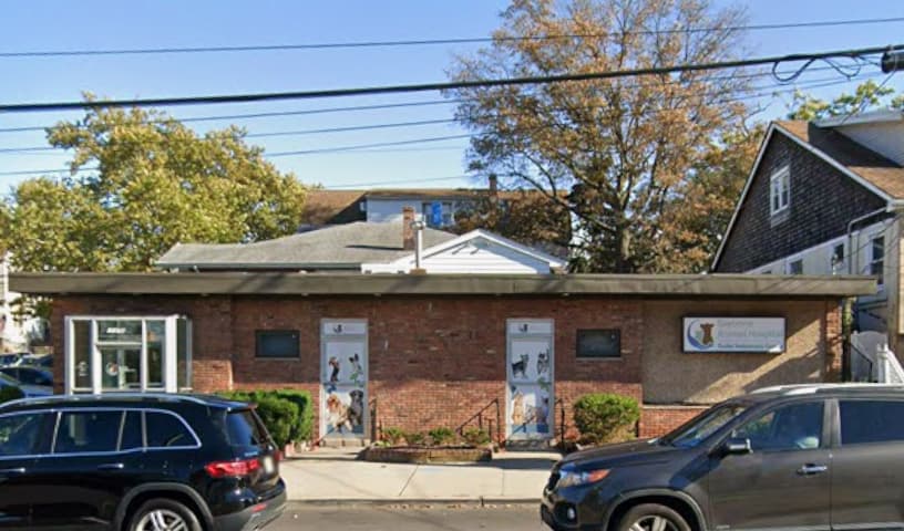 Bayonne Animal Hospital