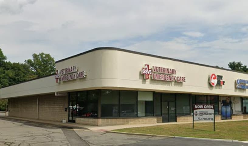 GSVS Veterinary Emergency Care East Brunswick