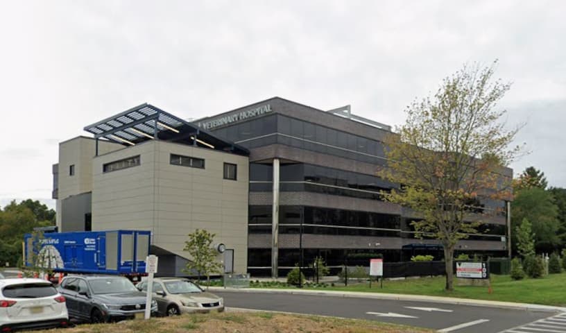 Red Bank Veterinary Hospital (RBVH) - Tinton Falls