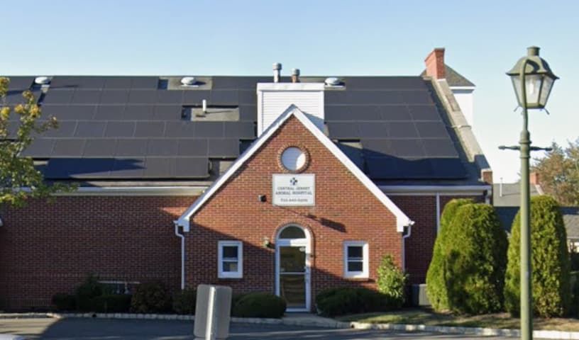 Central Jersey Animal Hospital