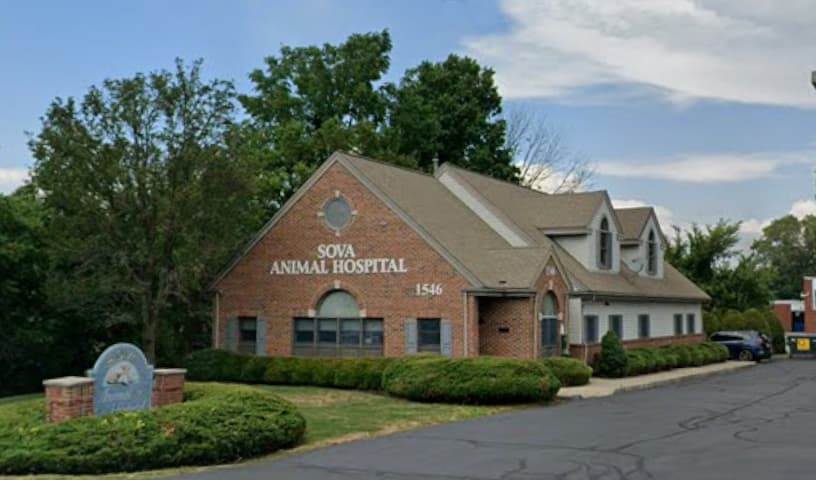 Sova Animal Hospital