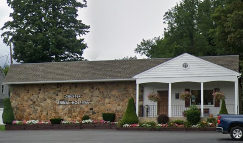 Chester Animal Hospital