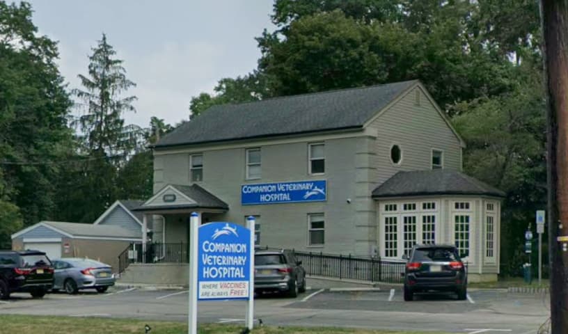 Companion Veterinary Hospital of Wayne