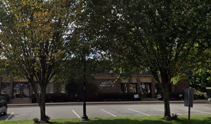 North Jersey Animal Hospital