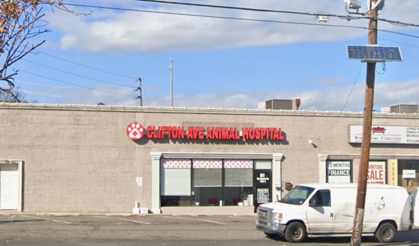 Clifton Ave Animal Hospital
