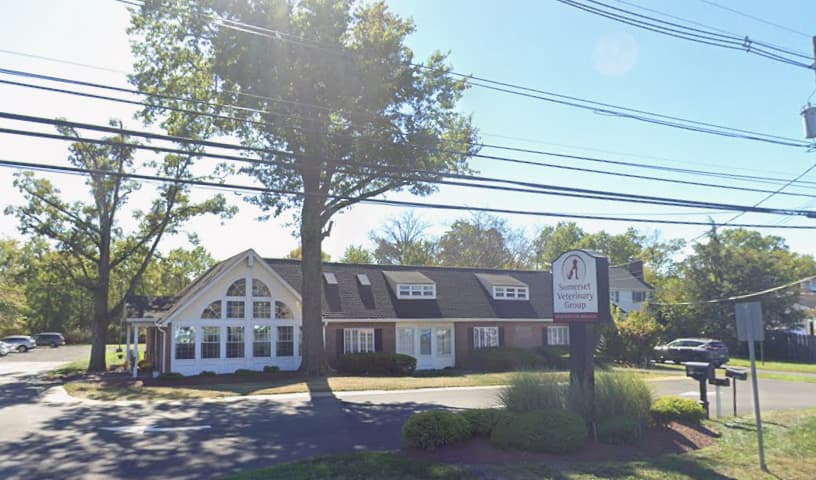 Somerset Veterinary Group