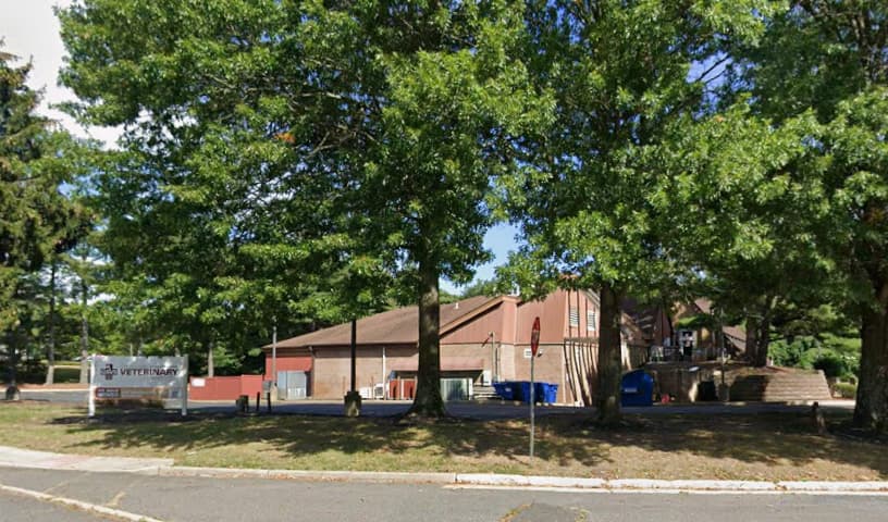 Animal Dermatology Clinic
