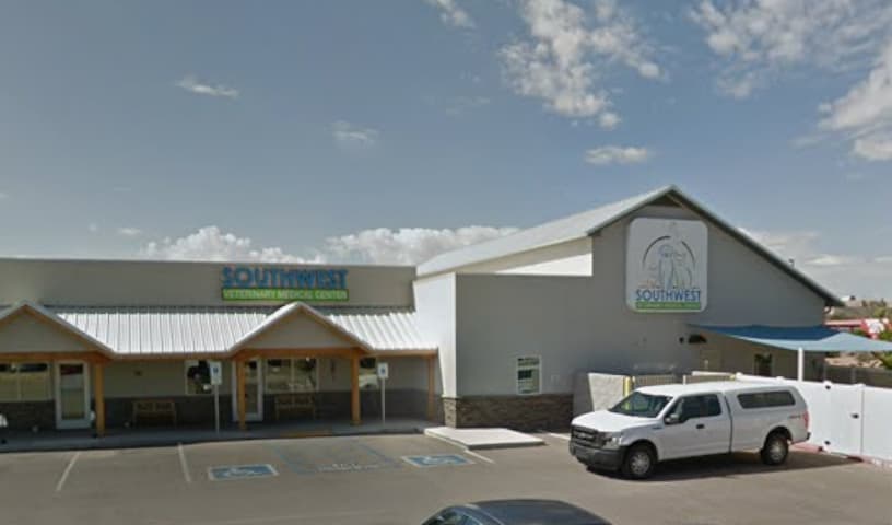 El Rincon Pet Hospital