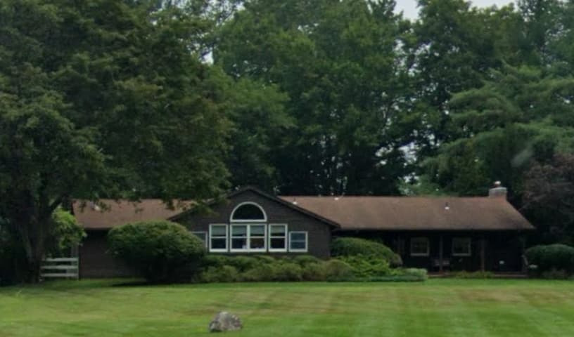 The Animal Hospital