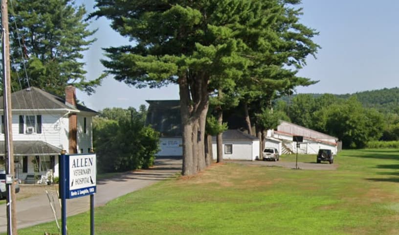 Allen Veterinary Hospital