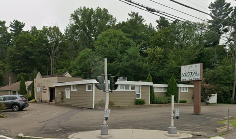 Vestal Veterinary Hospital