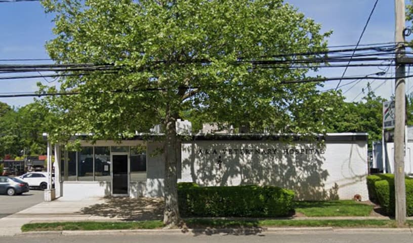 A & A Veterinary Hospital