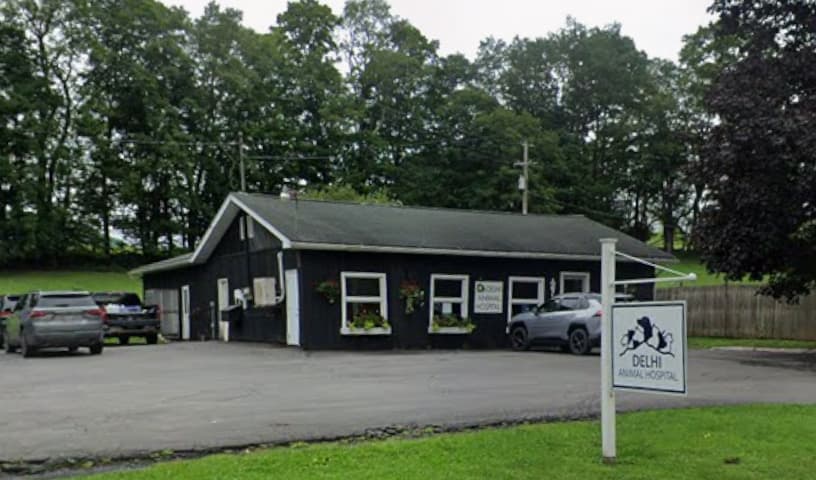 Delhi Animal Hospital