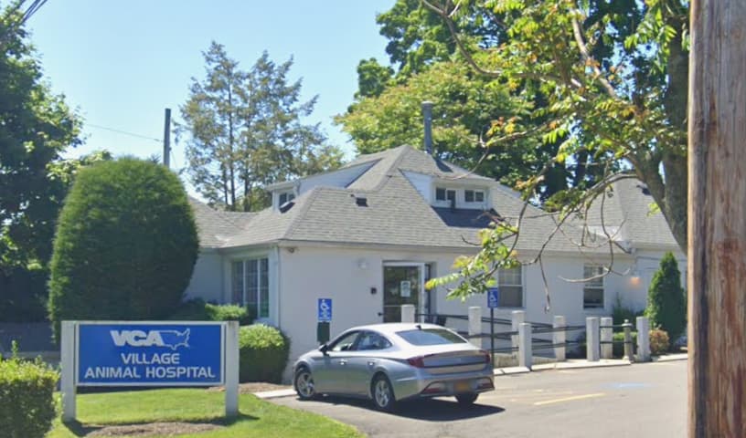 Village Animal Hospital