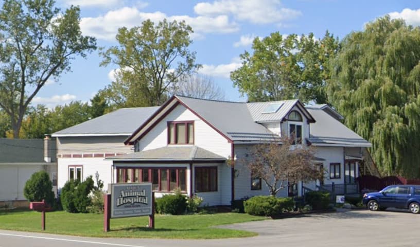 Alden Animal Hospital