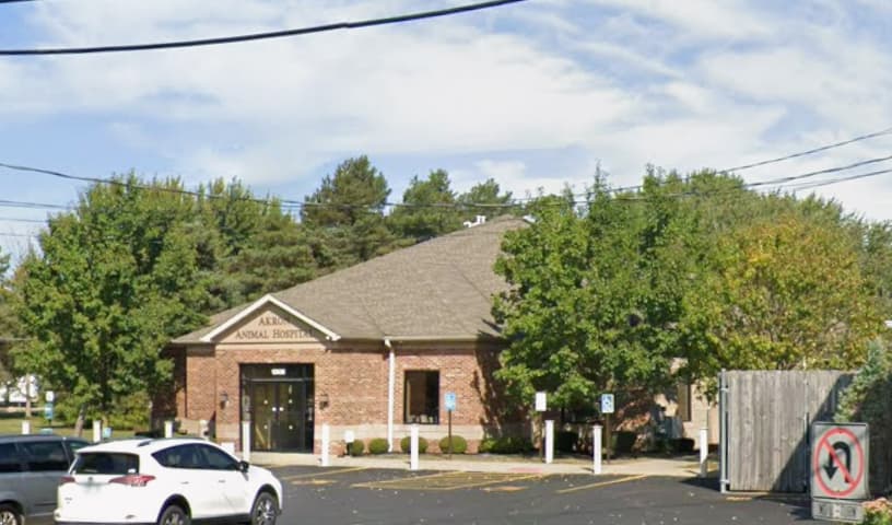 Akron Animal Hospital