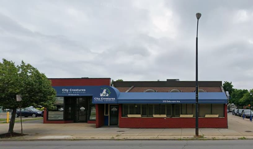 City Creatures Animal Hospital