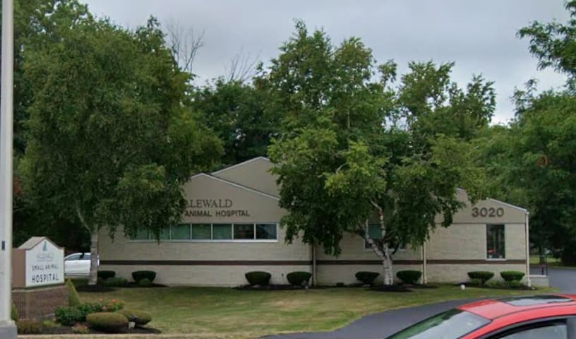 Killewald Small Animal Hospital