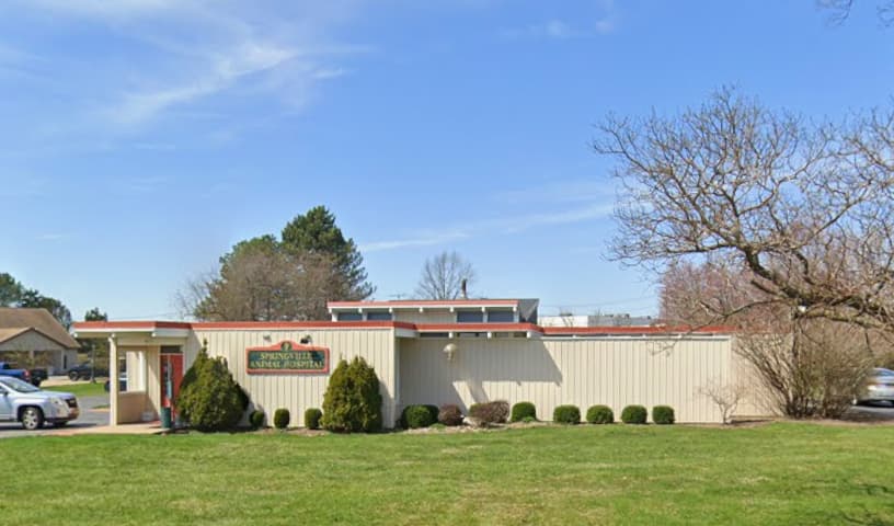 Springville Animal Hospital