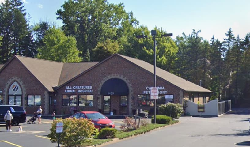 All Creatures Animal Hospital