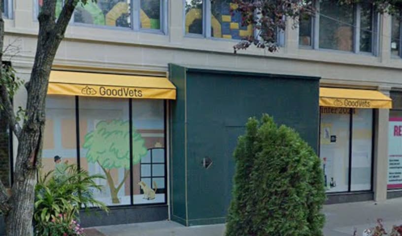 GoodVets Brooklyn Heights