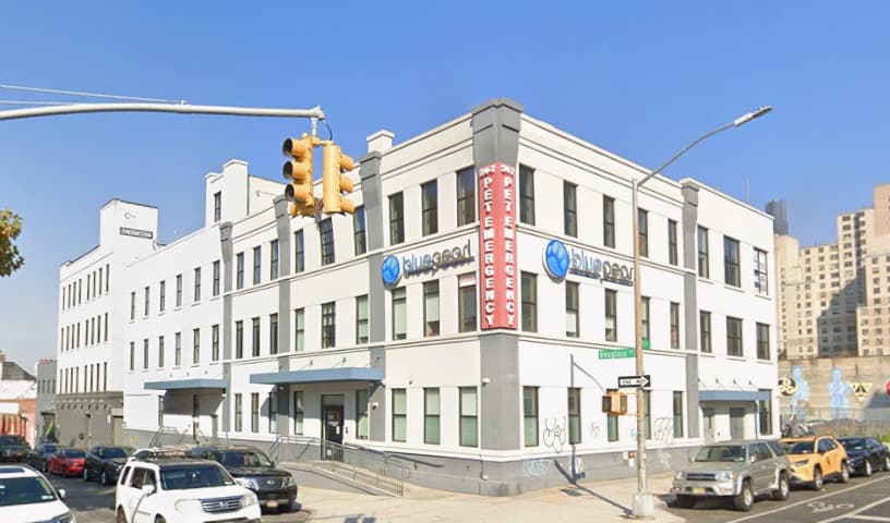 BluePearl Pet Hospital