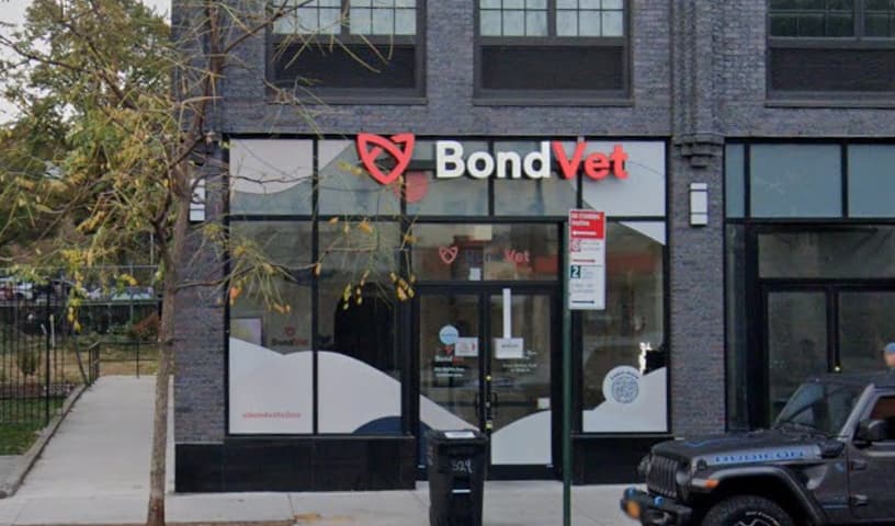 Bond Vet - Clinton Hill