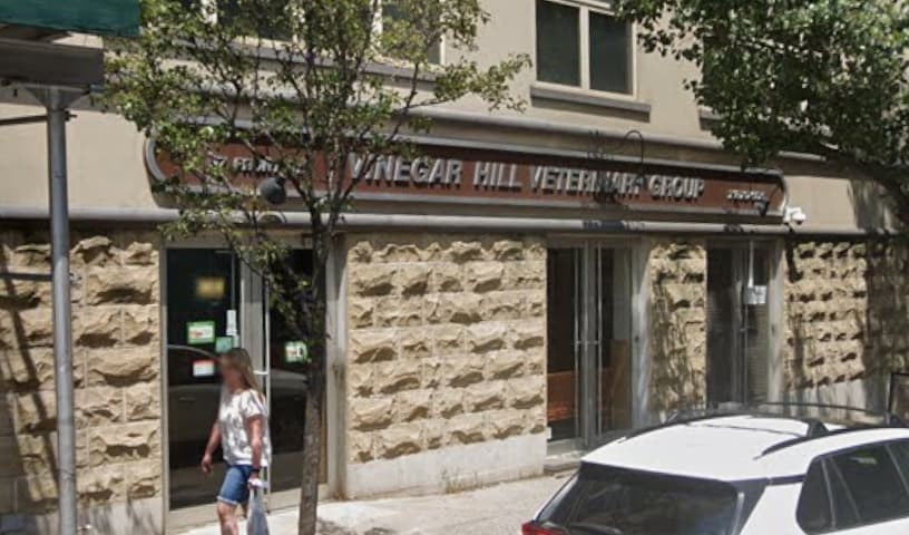 Vinegar Hill Veterinary Group- Dumbo