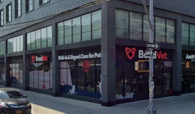 Bond Vet - Williamsburg