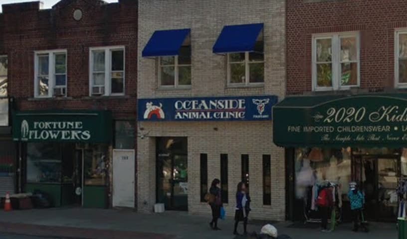 Oceanside Animal Clinic