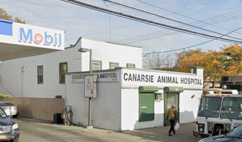 Canarsie Animal Hospital
