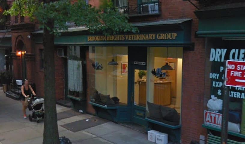 Vinegar Hill Veterinary Group- Brooklyn Heights