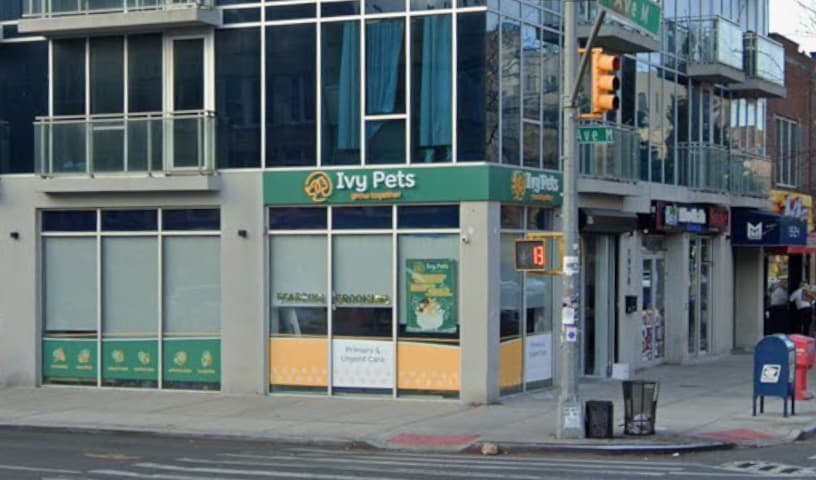 Ivy Pets - Midwood