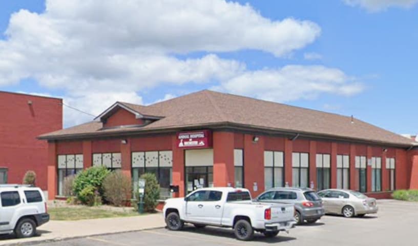 Animal Hospital of Rochester