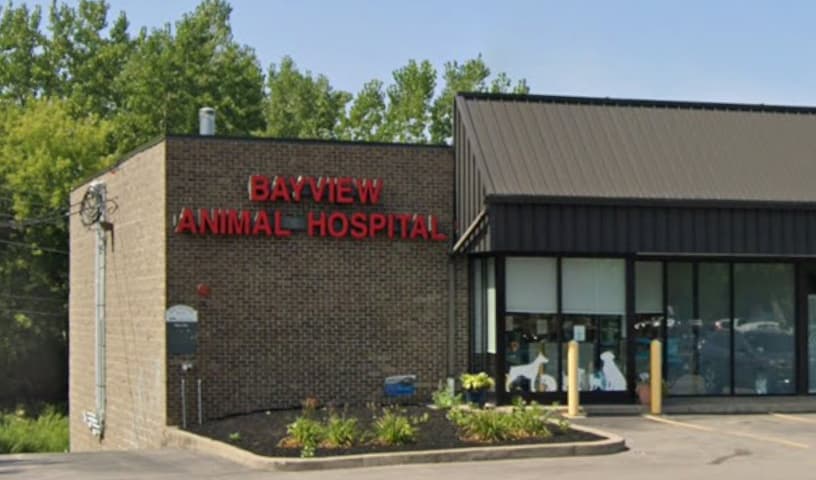 Bayview Animal Hospital