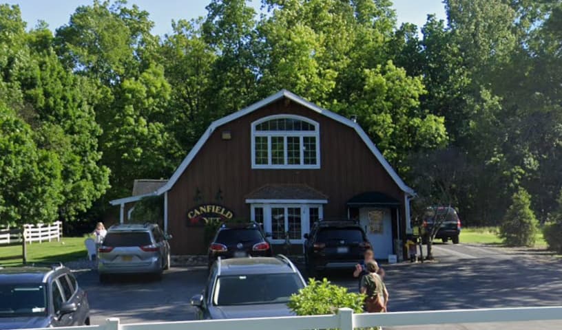 Canfield Vet, Dog and Cat Hospital