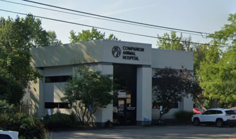 Companion Animal Hospital