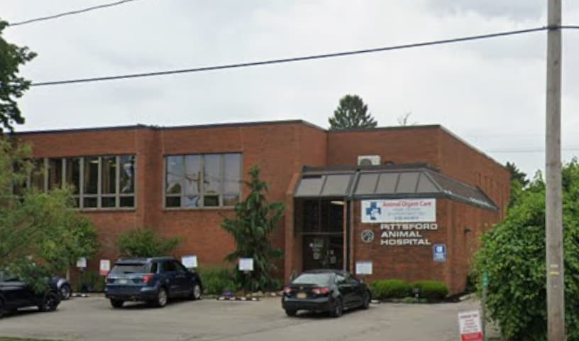 Pittsford Animal Hospital