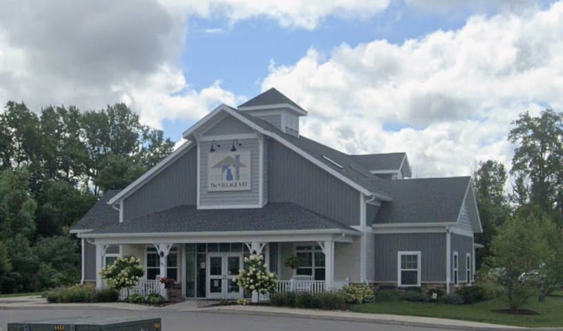 The Village Vet