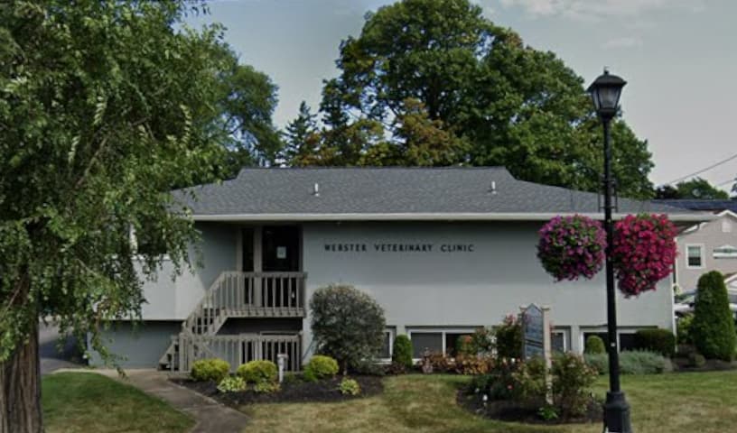 Webster Veterinary Clinic
