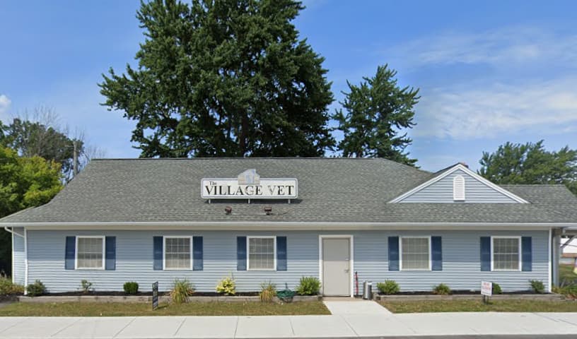 Animal Intermediate Care