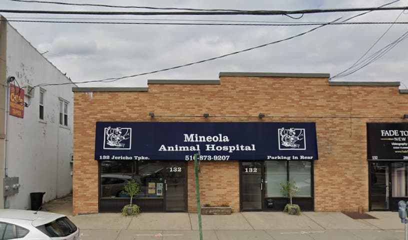 Mineola Animal Hospital