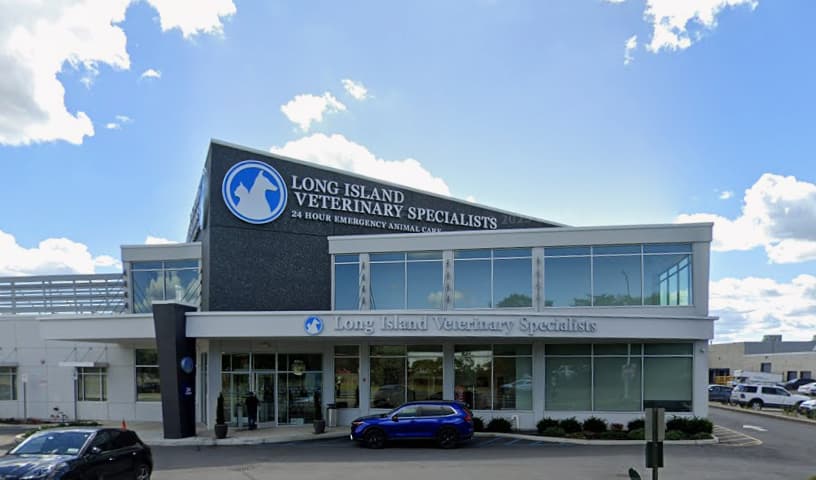 Long Island Veterinary Specialists