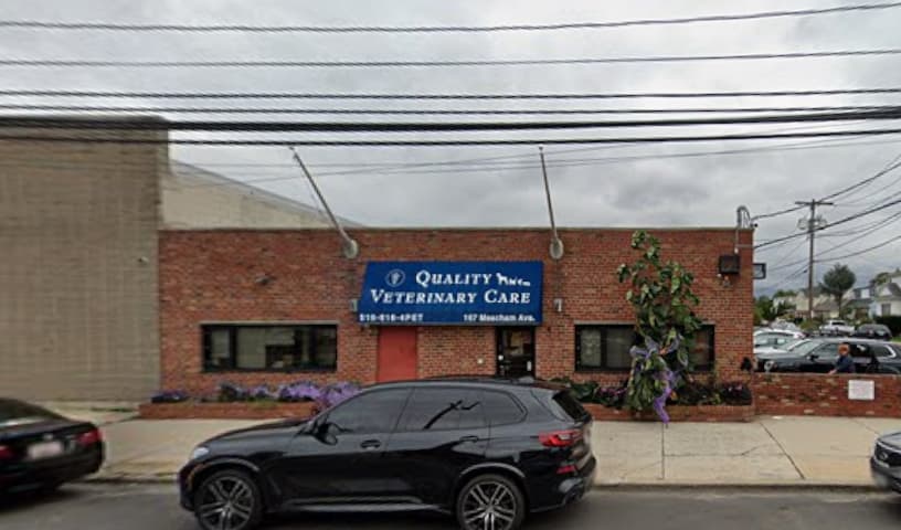 Quality Veterinary Care