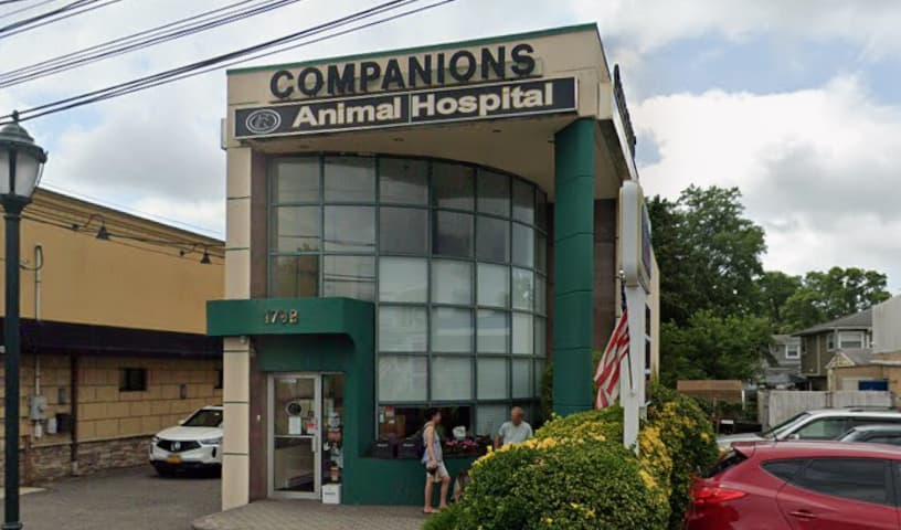 Companions Animal Hospital