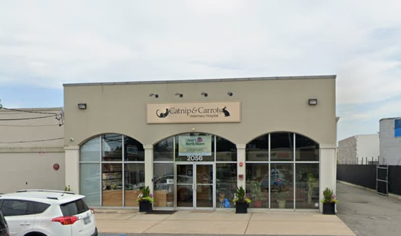 Catnip and Carrots Veterinary Hospital