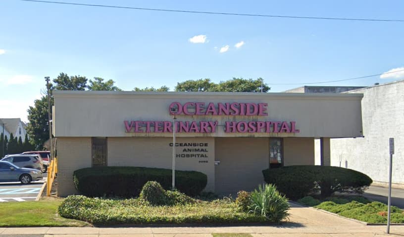 Oceanside Veterinary Hospital
